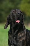 FILA BRASILEIRO 209